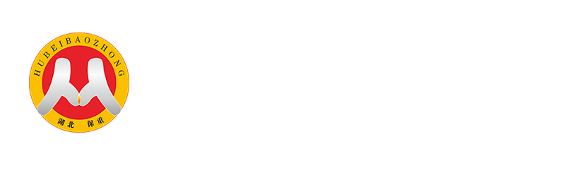 湖北保重保险代理有限公司